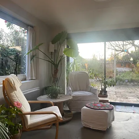 Sun *